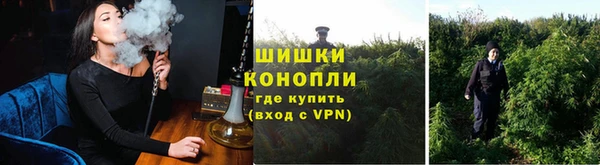 первитин Богданович